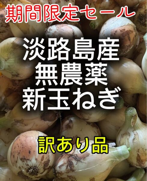 淡路島産無農薬新玉ねぎ訳あり5キロ