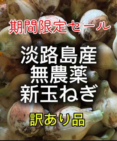 淡路島産無農薬新玉ねぎ訳あり5キロ