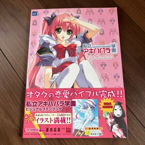 私立アキハバラ学園 ビジュアルファンブック MAGICAL CUTE/PCエンタテイメント書籍編集部 (編者)