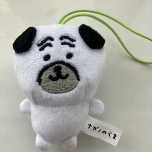 ナガノのくま