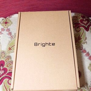 Brighte ELEKIBRUSH ブライト エレキブラシ