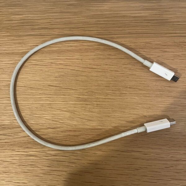 Apple純正 サンダーボルトケーブル 0.5m MD862ZM/A Thunderbolt