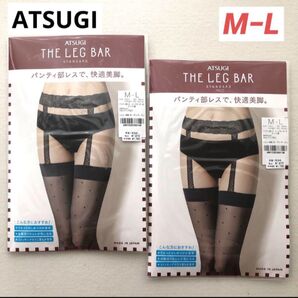 ATSUGI THE LEG BAR ガーター ストッキング ベージュ ドット柄 2足