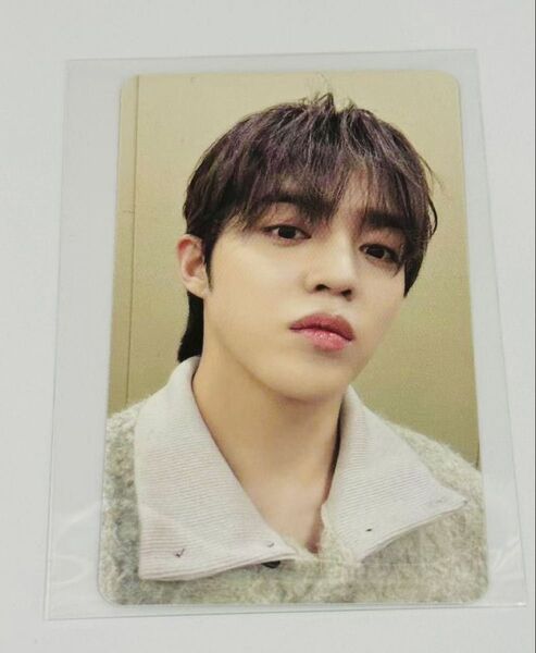 seventeen セブンティーン エスクプス(S.Coups)