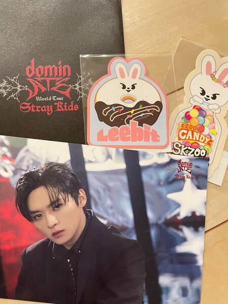 straykids ランダムトレーディングカード リノ トレカ skzoo リービットドーナツ ステッカー