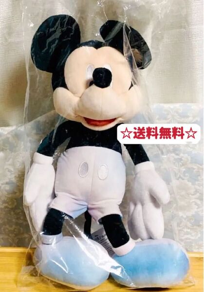 ぬいぐるみ 非売品 ディズニー プレゼント お土産 未開封未使用 送料無料 クーポンポイント消化