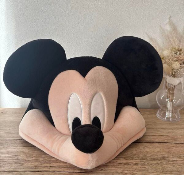 東京ディズニーリゾート ミッキーマウス ファンキャップ Disney
