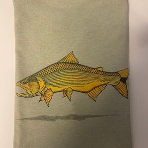 入手困難【Patagonia】Golden Dorado World Trout T
