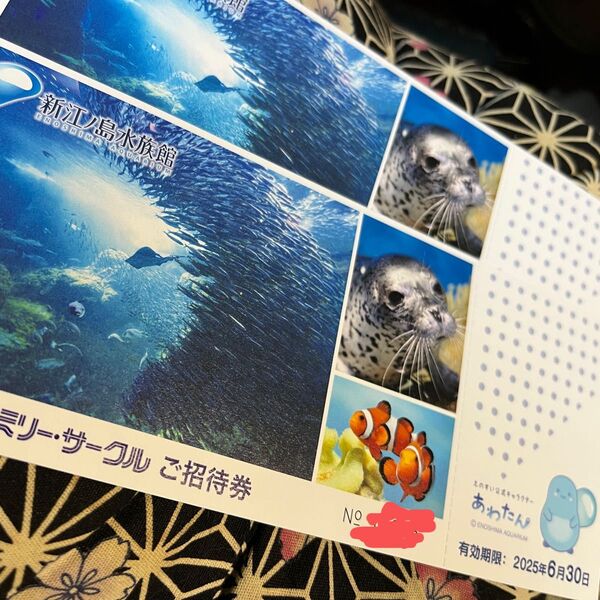 新江ノ島水族館 招待券 2枚セット