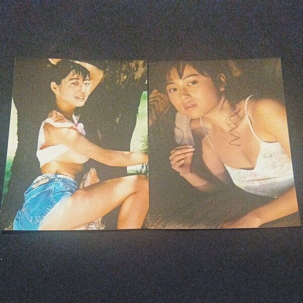ZARD坂井泉水 蒲池幸子 L判写真2枚A