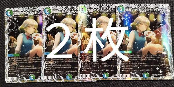 (専用)ガイアッシュカイザー 2枚