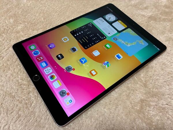 iPad Pro 10.5-inch Wi-Fi 256GB スペースグレイ