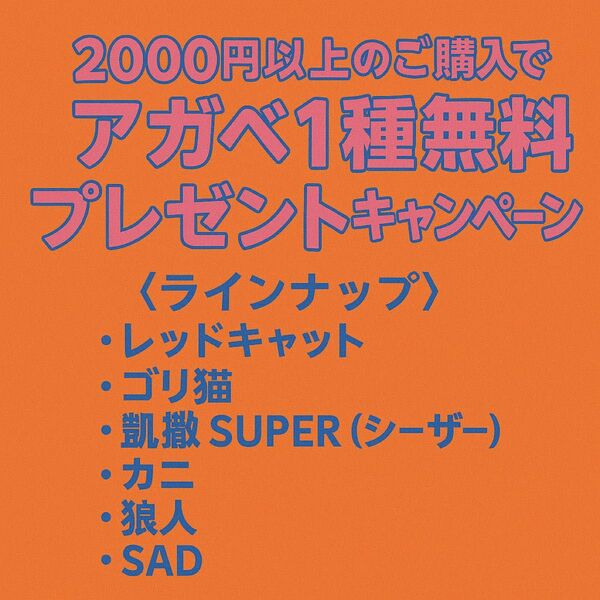 キャンペーン