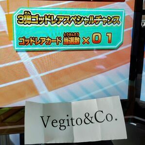 ★ドラゴンボールスーパーダイバーズ バナパスポート ゴッドレアスペシャルチャンス 当選済み 1枚