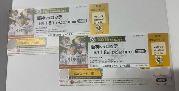 6/18阪神タイガースvs千葉ロッテ一塁通路側連番甲子園