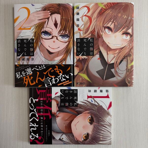 私の傷は死んでも消さない 1〜3巻 全巻セット(MFコミックス アライブシリーズ) 緋鍵龍彦/著