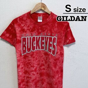 USA古着 ギルダン Tシャツ S レッド タイダイ柄 カレッジ バックアイズ