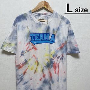 USA古着 Tシャツ L タイダイ柄 ホワイト グレー プリント ナイキ ロゴ