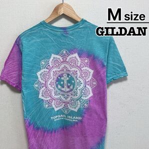 USA古着 GILDAN Tシャツ M ライトブルー パープル トップセール島