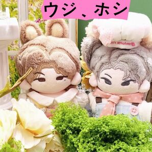 seventeenぬいぐるみ ウジ、ホシ 10センチ マスター 正規品