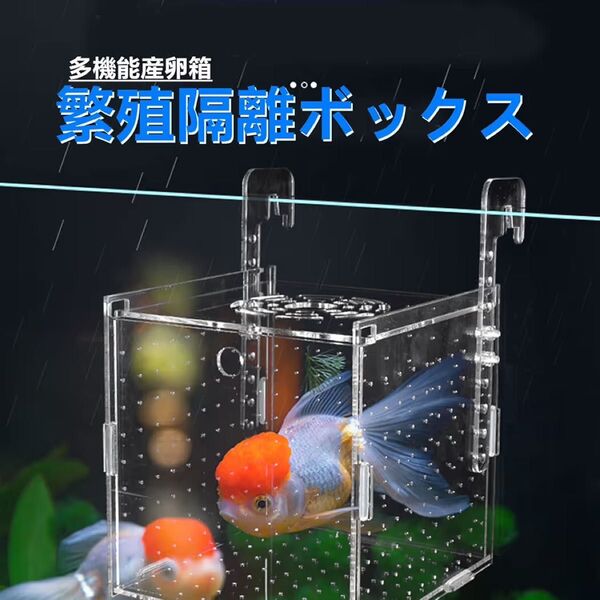 水槽繁殖隔離ボックス 10cm正方形メダカ孵化産卵箱 グッピー 稚魚 隔離