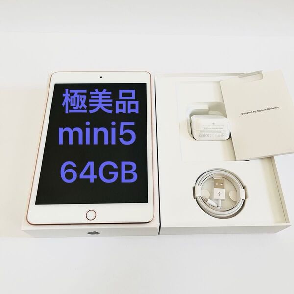 Apple iPad mini5 Wi-Fi 64GB【美品】