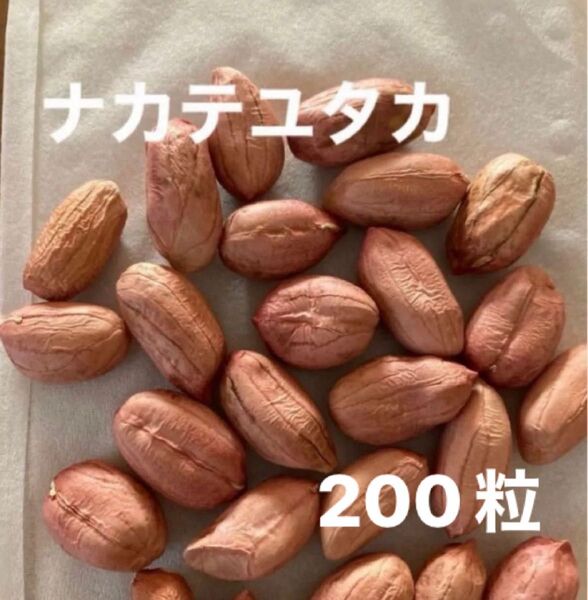 落花生 ナカテユタカ 種 200粒