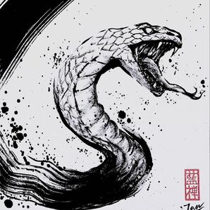 【墨絵】白蛇 色紙