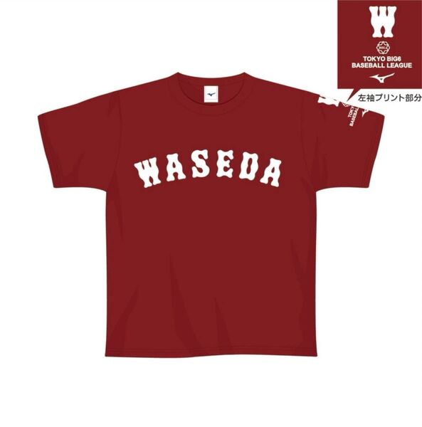 早稲田大学 半袖 Tシャツ サイズL 新品