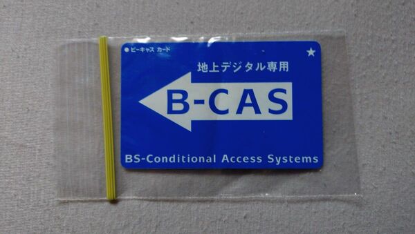チャック付き 保存袋 ポリ袋 ビニール袋 小袋 カードサイズ