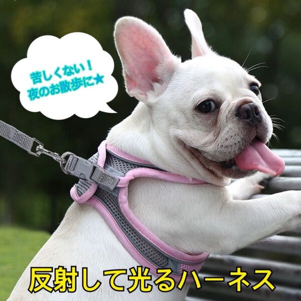 ワンちゃん ネコちゃん 夜のお散歩 可愛い 安心 安全 メッシュ素材 涼しい ペット 光る