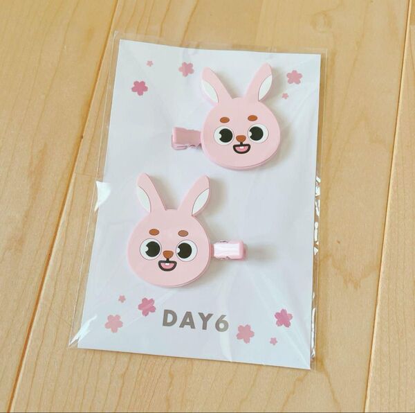 DAY6 グッズ ウォンピル PIL ヘアクリップ ヘアピン デニマルズ 横浜