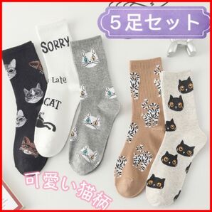 レディースソックス5足セット 靴下 黒猫柄 可愛いキャラクター 新品 まとめ売り