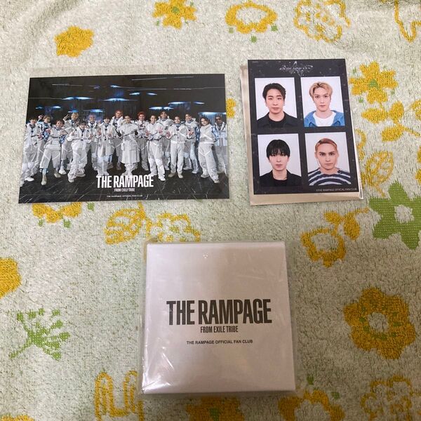 THE RAMPAGE CyberHelix ポストカード、 ID PHOTO