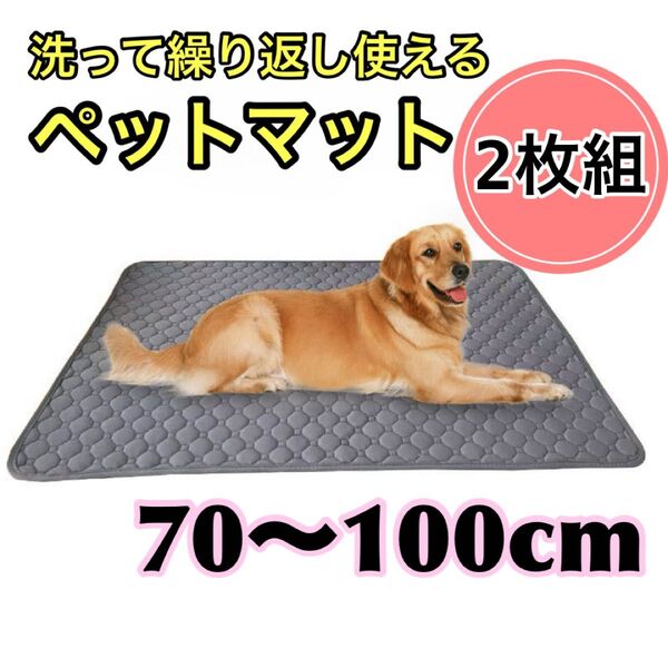 洗える ペットマット XL2枚 ベージュ ペットシーツ トイレシート 防水 犬 猫 ゲージマット 大きいサイズ