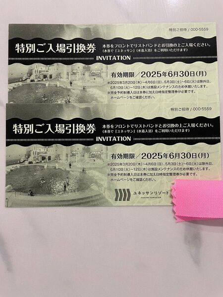 箱根 ユネッサン 特別ご入場引換券 2枚セット