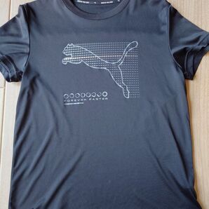 PUMA 半袖Tシャツ ブラック