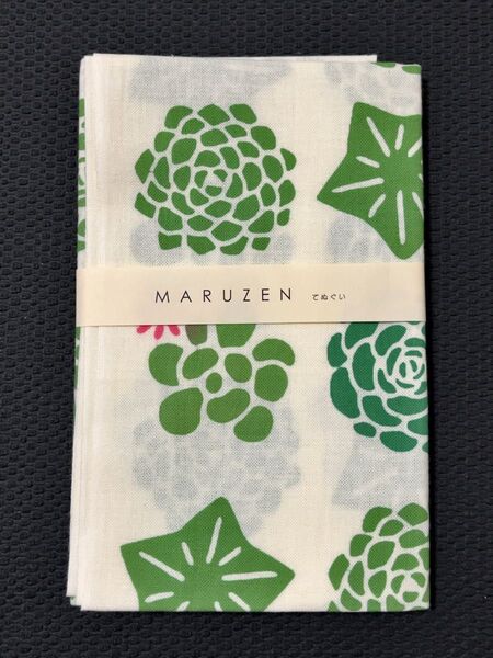 かまわぬ×丸善 手ぬぐい 多肉植物