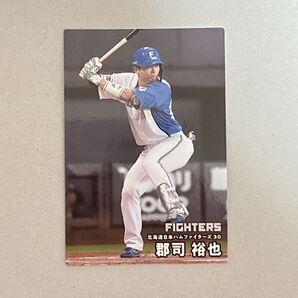 北海道日本ハムファイターズ 郡司裕也 30 プロ野球チップス 2025
