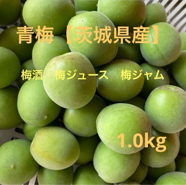 青梅 梅酒 カリカリ梅 梅ジュース 梅ジャム 1.3kg コンパクトBOX発送