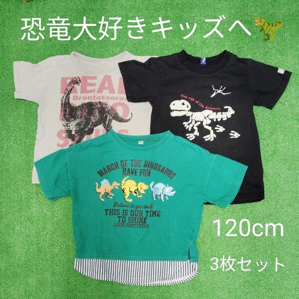 恐竜大好きなお子様へ!120cm 半袖Tシャツ3枚セット
