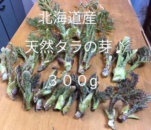 今シーズン最後になります。 北海道産 天然タラの芽♪ 300g