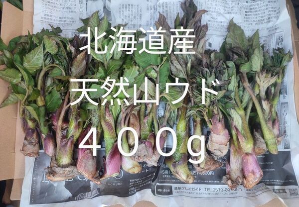 セール中! 北海道産 天然山ウド♪ 400g