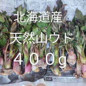 ラスト出品! 北海道産 天然山ウド♪ 400g