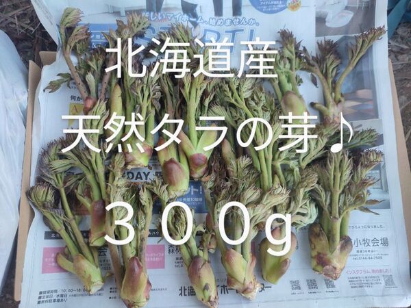 今シーズン最後になります。 北海道産 天然行者にんにく♪ 300g