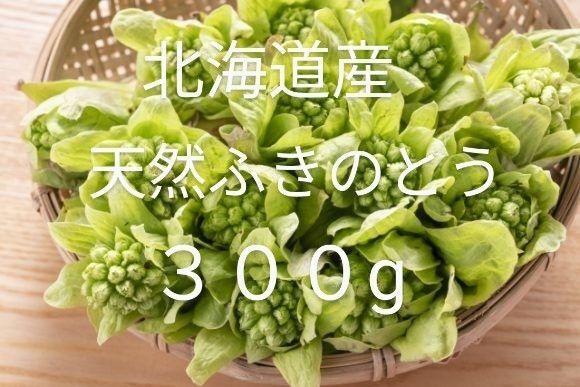 北海道産 天然ふきのとう♪ 300g