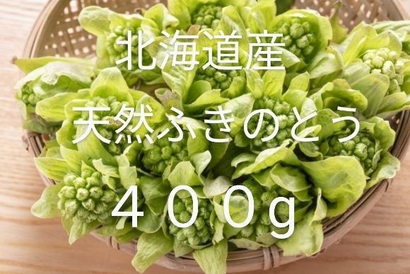 北海道産 天然ふきのとう♪ 400g