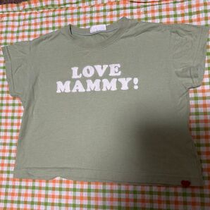 半袖シャツ 100サイズ 中古品