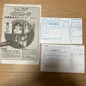 えなこ 応募者全員応募券 応募用紙応募シート 漫画アクション ブブカ