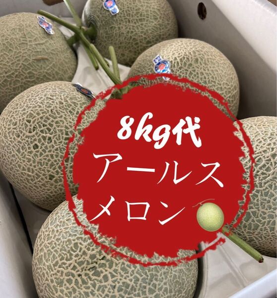 果物 フルーツ メロン アールスメロン 青肉 8kg